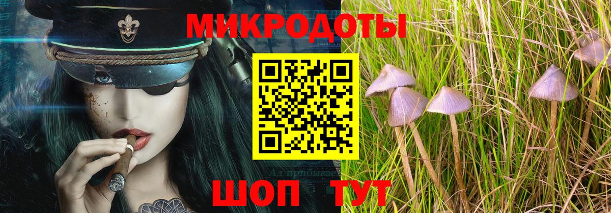Биробиджан  Галлюциногенные грибы Psilocybe  Вход с VPN  Псилоцибиновые грибы Magic Shrooms 