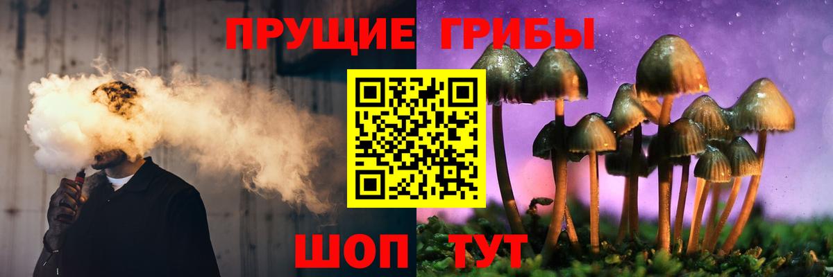 Галлюциногенные грибы Psilocybine cubensis Биробиджан